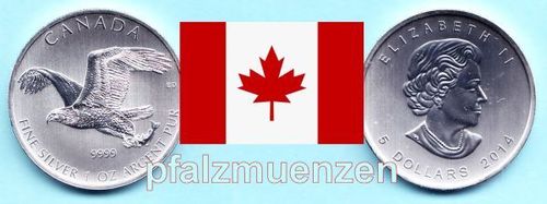 Kanada 2014 5 Dollar Greifvögel-Serie Weißkopfseeadler 1 Unze Silber (9999)