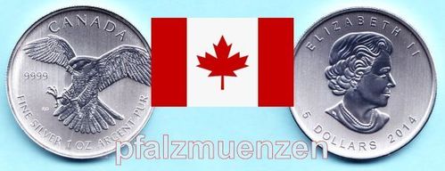 Kanada 2014 5 Dollar Greifvögel-Serie Wanderfalke 1 Unze Silber (9999)