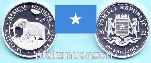 Somalia 2022 100 Shilling Elefanten 1 Unze Silber (999)